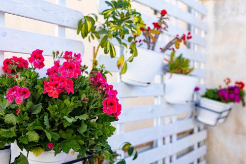 a bunch of flowers hanging on a white fence at Trapani Home in Trapani