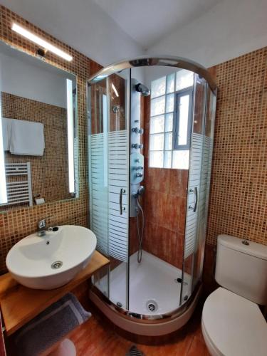 ein Bad mit einer Dusche, einem Waschbecken und einem WC in der Unterkunft Αρχοντικό Κονάκι- Konaki Pelion in Tsagkarada