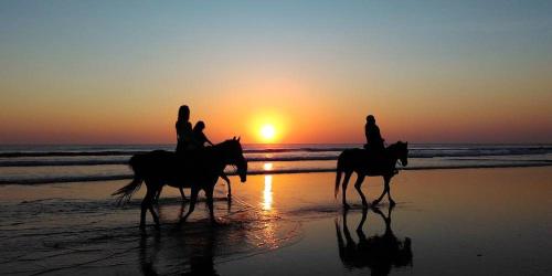 Dos personas montando caballos en la playa al atardecer en Abdessamad Appartement 1, en Essaouira