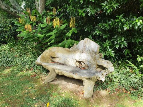 a bench made out of a tree stump at Havelock Garden Motel in Havelock