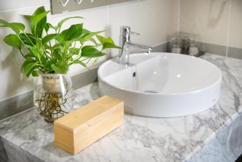 a bathroom with a white sink and a potted plant at Record Hotel in Da Nang
