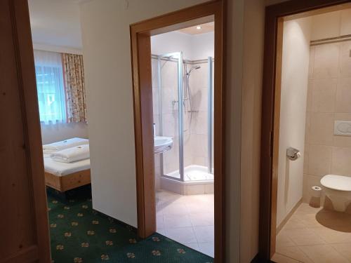 łazienka z prysznicem, toaletą i umywalką w obiekcie Hotel Stegmühlhof w mieście Mauterndorf