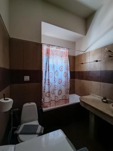 a bathroom with a shower curtain and a toilet and a sink at Anemi in Kamilari