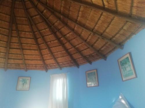 a blue room with a wooden ceiling and a window at Slubani in Eshowe