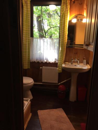 baño con lavabo y aseo y ventana en Dom letniskowy en Różan