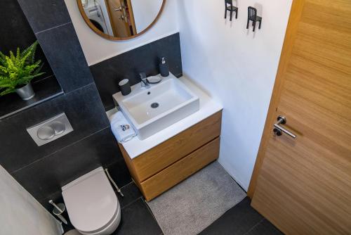 a bathroom with a sink and a toilet and a mirror at Sunny Sight Zlatibor in Zlatibor