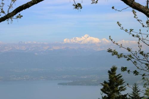 a view of a lake with a mountain in the background at Lac et Mont-Blanc in Nyon