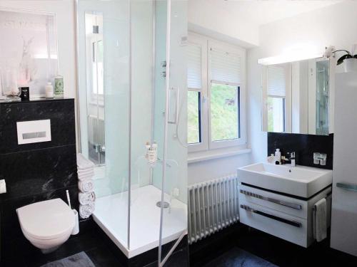 サンモリッツにあるChesa Anemona - 4,5 room appartment in a lovely relaxing atmosphereのバスルーム(シンク、シャワー、トイレ付)