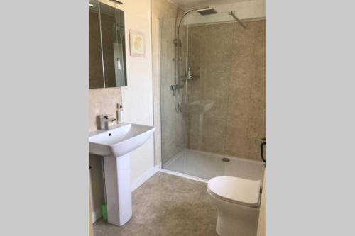 a bathroom with a shower and a toilet and a sink at Barton Cottage in Bridgwater