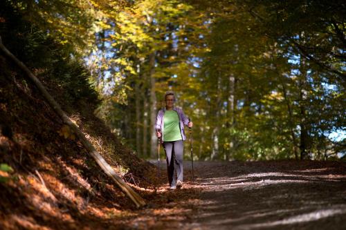 a woman walking on a path in the woods at Bio-Bauernhof Reitmayrgut in Goldegg