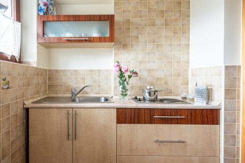 een keuken met houten kasten en een spoelbak bij Pawlikówka 2 in Zakopane