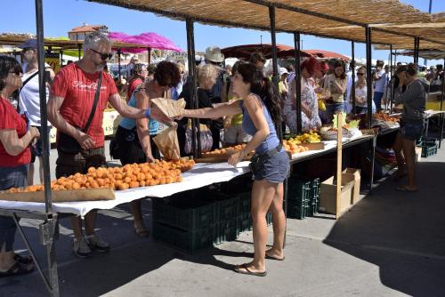 Un groupe de personnes autour d'un stand de fruits sur un marché dans l'établissement Maison de Vacances Les Caounils à St-Pierre-La-Mer, à Fleury