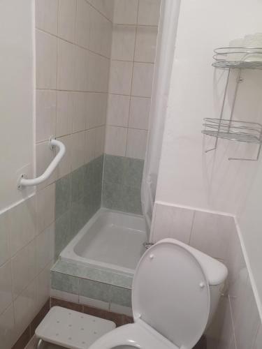 a bathroom with a toilet and a bath tub at Penzion-Cukroška in Hlušovice