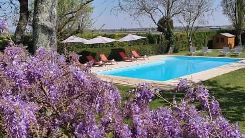 - une piscine dans une cour ornée de fleurs violettes dans l'établissement Le Logis d'Epargnes B&B and Gite, à Épargnes