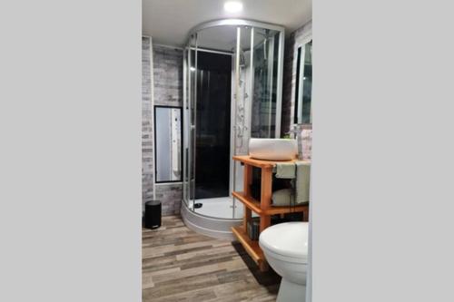 ein Bad mit einem WC und einer Dusche in der Unterkunft Halte Mignonne in Houldizy