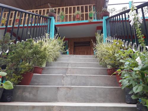 a staircase leading to a house with potted plants at Kabiraalaya Homestay in Darjeeling