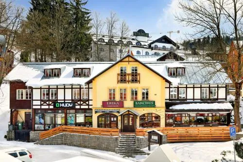 Hotel Erika