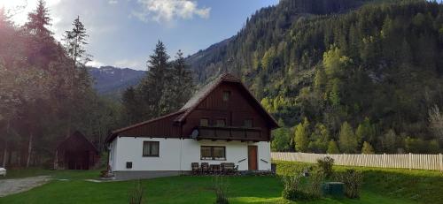 a small house in a field with a mountain at Haus Cilli in Donnersbachwald