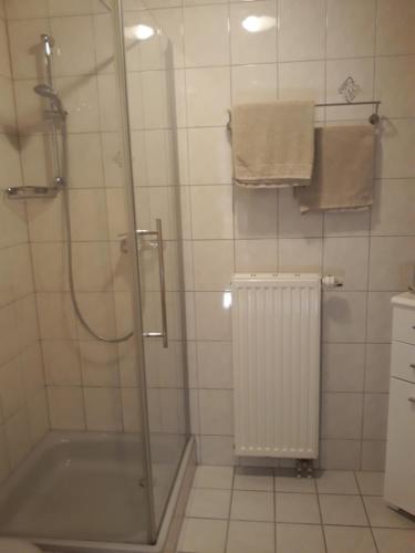 een badkamer met een douche met een glazen achterdeur bij Mosel-Ferienwohnung Berhard in Bruttig-Fankel