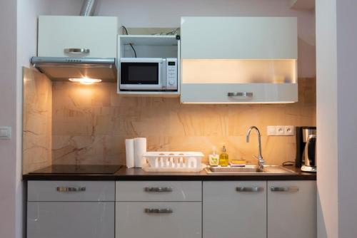Η κουζίνα ή μικρή κουζίνα στο Diana Apartments Karlovy Vary