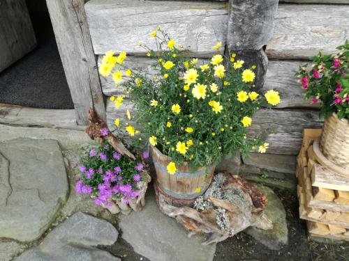 a vase filled with yellow flowers sitting on a stump at Naturhotel Hüttenwirt im Grossarltal in Hüttschlag