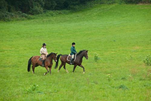 two people riding horses in a field at Waldhotel zum Bergsee Damme in Damme
