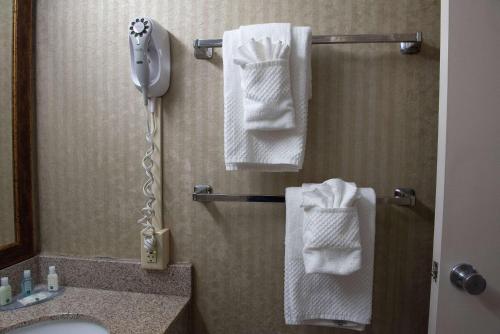 Quality Inn Beckley tesisinde bir banyo