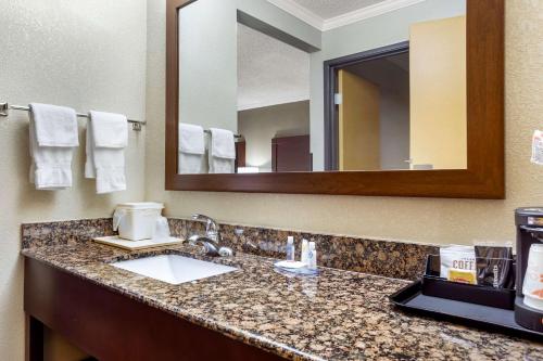 Kylpyhuone majoituspaikassa Comfort Inn Hoffman Estates - Schaumburg