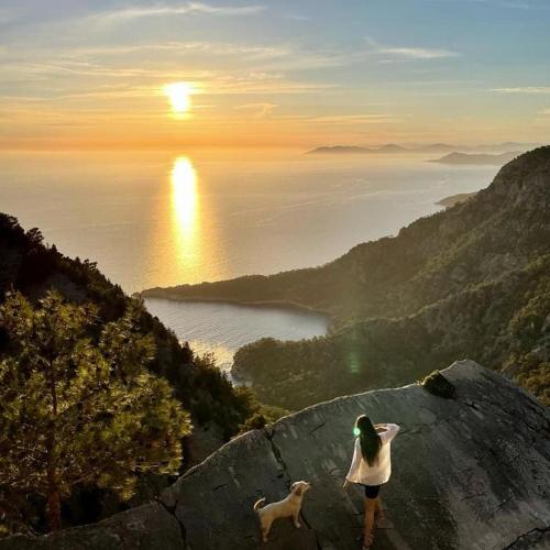 AlıncaにあるTürkdomes Glampingの犬を連れて山頂に立つ女