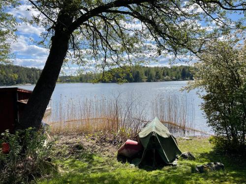 a tent sitting on the grass next to a lake at Fishermans cabin in Myttinge