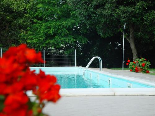 a swimming pool with red flowers in front of it at Poggio di Villa Fano in Citerna