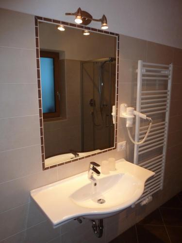 a bathroom with a sink and a mirror at Polzhof in Castelrotto