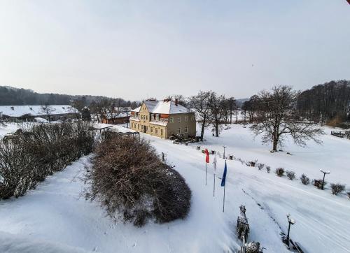 Olandia v zimě