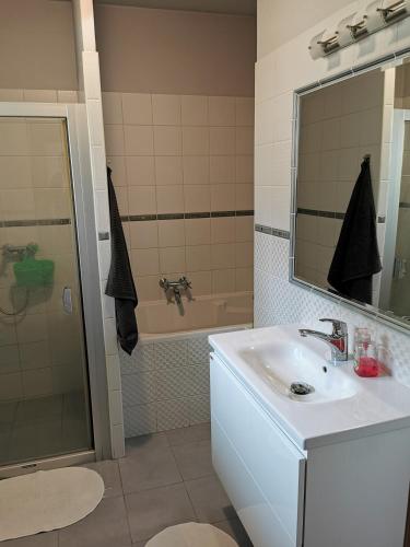 Bilik mandi di Apartmán Antonínská