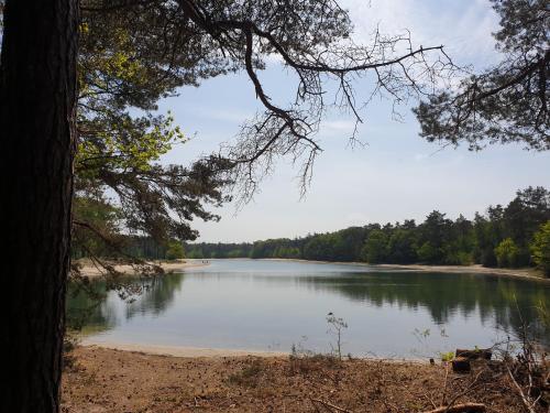 a view of a large lake with trees in the background at Ermerhoek: op de Deel in Erm
