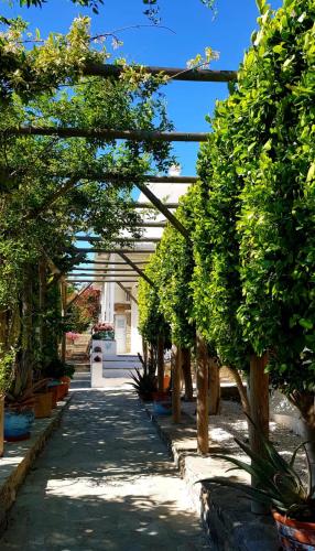 a garden with trees and a walkway at La Casa di Dolly in Galanádhon