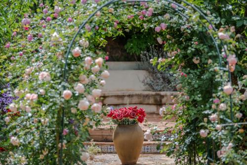 麗江的住宿－麗江白沙火烈鳥主題客棧，花园中满是红花的花瓶
