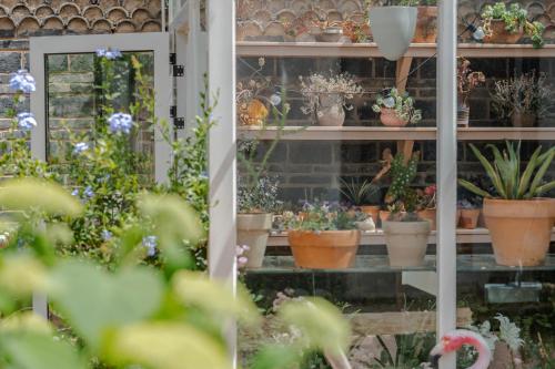 a room filled with lots of potted plants on shelves at Baisha Flamingo Hotel in Lijiang