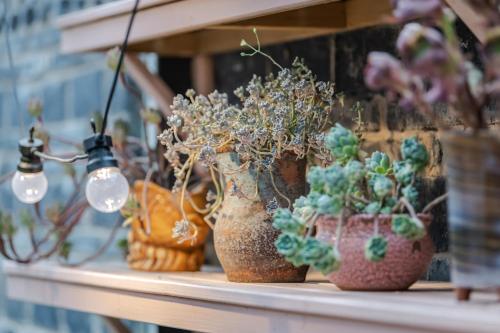 a row of vases with plants on a shelf at Baisha Flamingo Hotel in Lijiang