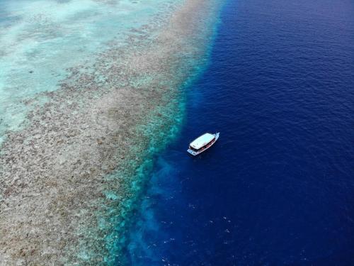 a boat in the water next to a beach at Kiha Beach in Dharavandhoo