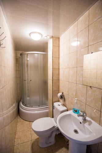 a bathroom with a shower and a toilet and a sink at Trakai Village apartments in Jovariškės