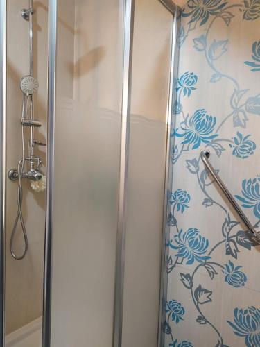 a shower with a glass door in a bathroom at Casa da Nanda in Crespos