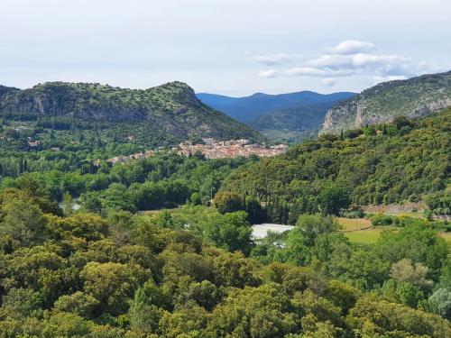 an aerial view of a valley with trees and a town at La Bastide Bleue in Anduze