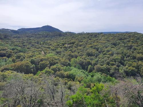 a view of a forest of trees and mountains at La Bastide Bleue in Anduze
