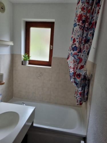 ein Bad mit einer Badewanne, einem Waschbecken und einem Fenster in der Unterkunft Studio à Chatel au pied des remontées mécaniques du Linga in Châtel