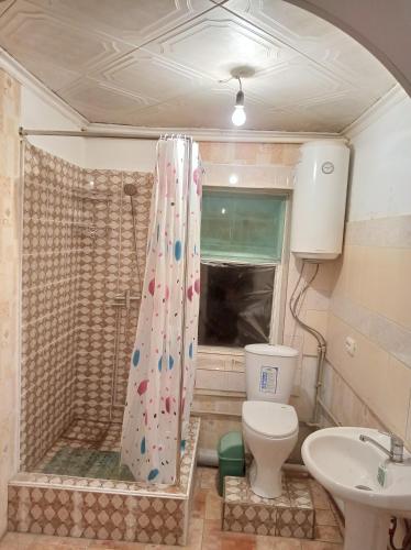a bathroom with a shower and a toilet and a sink at Happy Hostel in Tamga in Tamga
