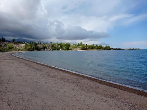 een strand met water en bomen aan de kust bij Happy Hostel in Tamga in Tamga