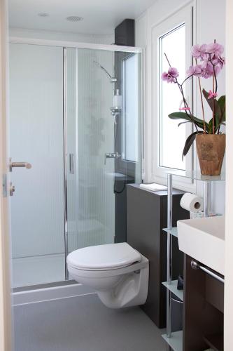 a bathroom with a shower and a toilet and a sink at Hiša Uran in Kobarid