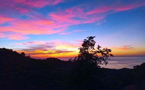a silhouette of a tree in front of a sunset at House in Εndless green - Arethousa, Ikaria in Évdhilos