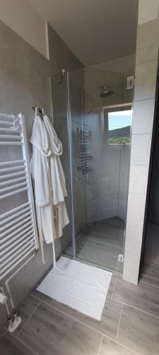 ein Bad mit einer Dusche, weißen Handtüchern und einer Duschkabine aus Glas in der Unterkunft Apartmani Fenestra Tesla i Faust in Otočac